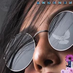 INTERACTIVE CO. avatar