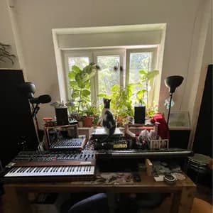 Wishes & Dreams avatar