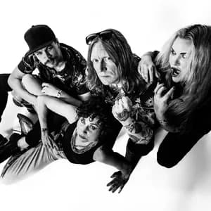 The Baboon Show avatar