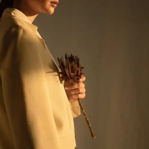 Wildflower Trio avatar