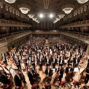Konzerthausorchester Berlin avatar