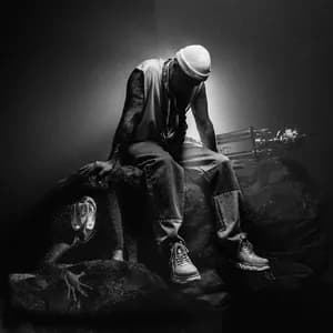 Vidas Bareikis avatar