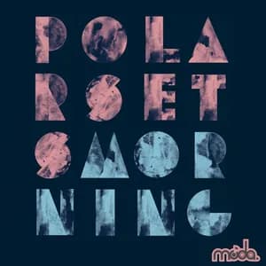 Polarsets avatar