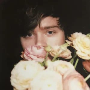 Foxes in Fiction avatar