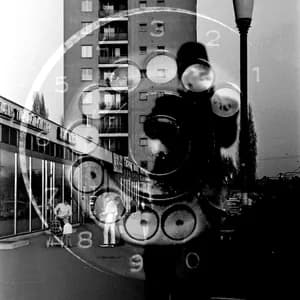 The Advisory Circle avatar