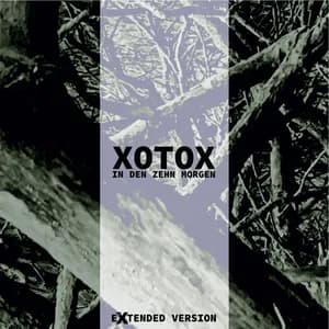 xotox avatar