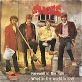 Farewell in the Rain