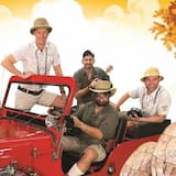 Kam se želvica je skrila