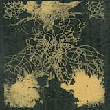 Drawing For 30 Years