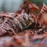 NGC 503 (Spectrum Vision remix)