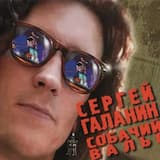 Серые волки