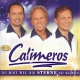 Gitarren in der Sommernacht