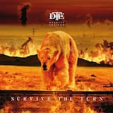 Bitterness Despite The End