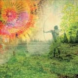 Constellation Umbrella