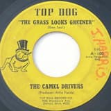 The Grass Looks Greener