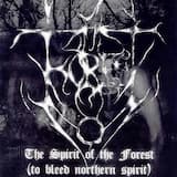 A Walk Through the Forest Unknown