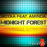 Midnight Forest (Adyjay remix)