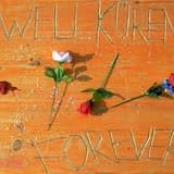 Der Frühling ist ins Land gezogen