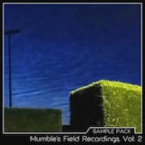 Ambience recorded during Lunar Eclipse