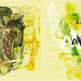 Hippie Doctors From Outer Space