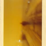 Take My Hope to Fertile Fields