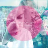 When the Sun Sets Over the Abbey