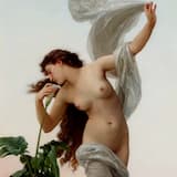 あなたの愛は無意味です