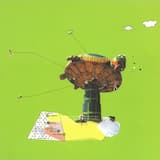 Carl Bergstrøm-Nielsen Cut