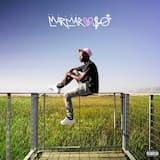 Ruthless (Nice Guys Always Finish Last) [remix]