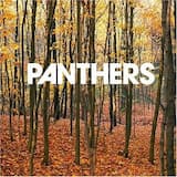 My Commodities Have Been Fetishized