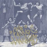 Venus Kicked the Stars