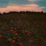 Hold mig i hænderne