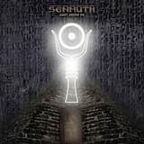 Рассвета ясный сокол