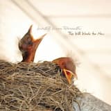 The Phoenix (Feat. Saturday Morning Soundtrack)