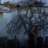 Meditation of Metals