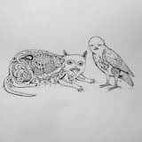 вечеринка в каменном городе