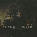 Dark Light Eerie Night