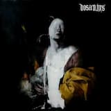 Ancestral morphogenesis