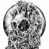 A Mindless Obsession