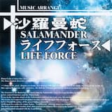 Planet RATIS (3rd Stage BGM)