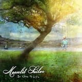 A Week Without Sunlight