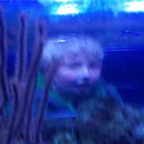 Mortifier (The Play is Over, Applaud)