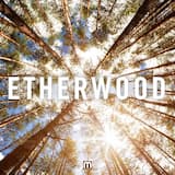 For My Sins (Etherwood remix)