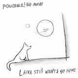 Einstein Is So Sad on the Pictures Because He Wanted to Work a Lighthouse Keeper.…