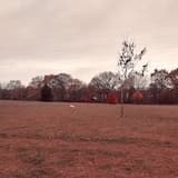 Ammunition All Alone