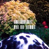 JAL to Tokyo (Paul Woolford remix)