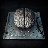 Get It Crackin (Final 2013 edit)