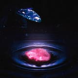 Последний лепесток