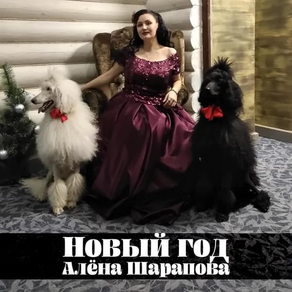 Новый год image