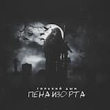 Пена изо рта